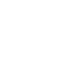 Veesion