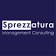 Sprezzatura Management Consulting, LLC