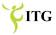 Information Technology Group