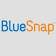 BlueSnap