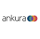 Ankura Consulting Group, LLC