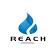 Reach International Consulting
