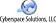 Cyberspace Solutions, LLC