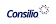 Consilio LLC