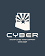 Cyber Technology Group, Inc