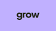 Grow Therapy