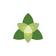 Trillium Health Resources