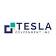 Tesla Government