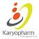 Karyopharm Therapeutics Inc.