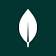 MongoDB