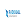 RADIXSOL SOLUTIONS (OPC) PRIVATE LIMITED