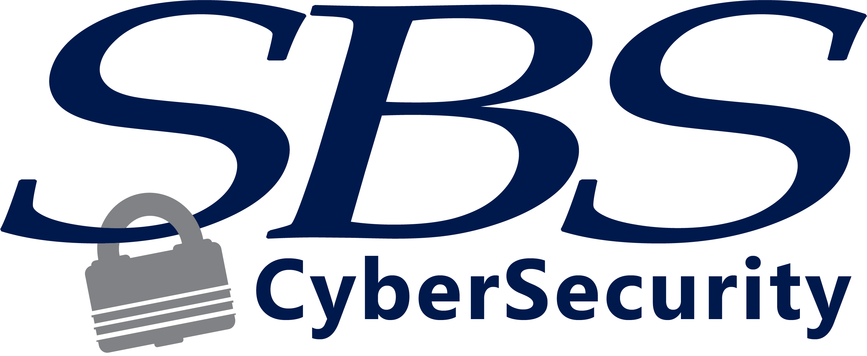 SBS CYBERSECURITY LLC