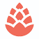 Cedar Inc