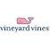 vineyard vines