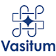 vasitum
