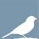 Sparrow Partners
