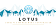 Lotus Concepts Management