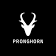 Pronghorn