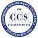 CCS INC