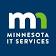 Minnesota IT Services