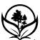 Egan Landscape Group