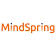 MindSpring Partners LLC