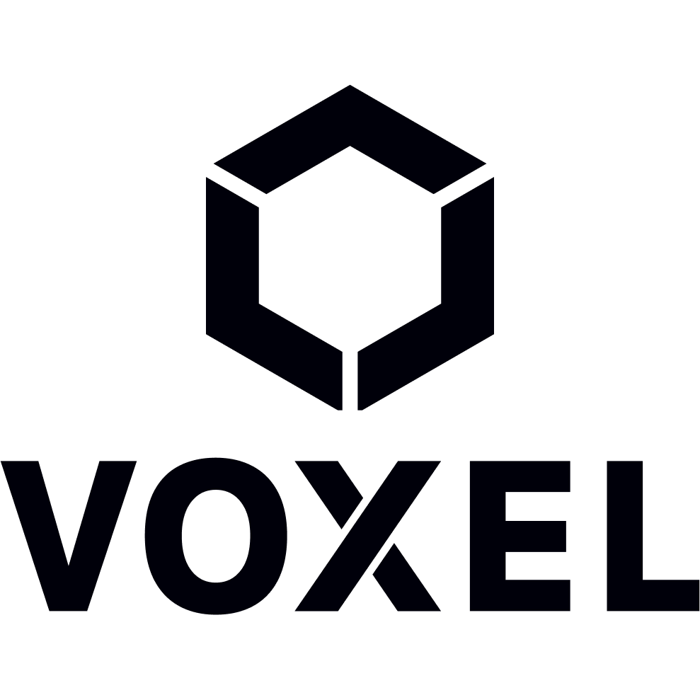 Voxel