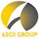 Ascii Group, LLC