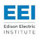 Edison Electric Institute