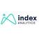 Index Analytics Llc