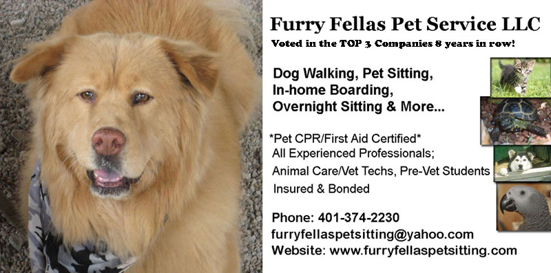 Furry Fellas Pet Service LLC
