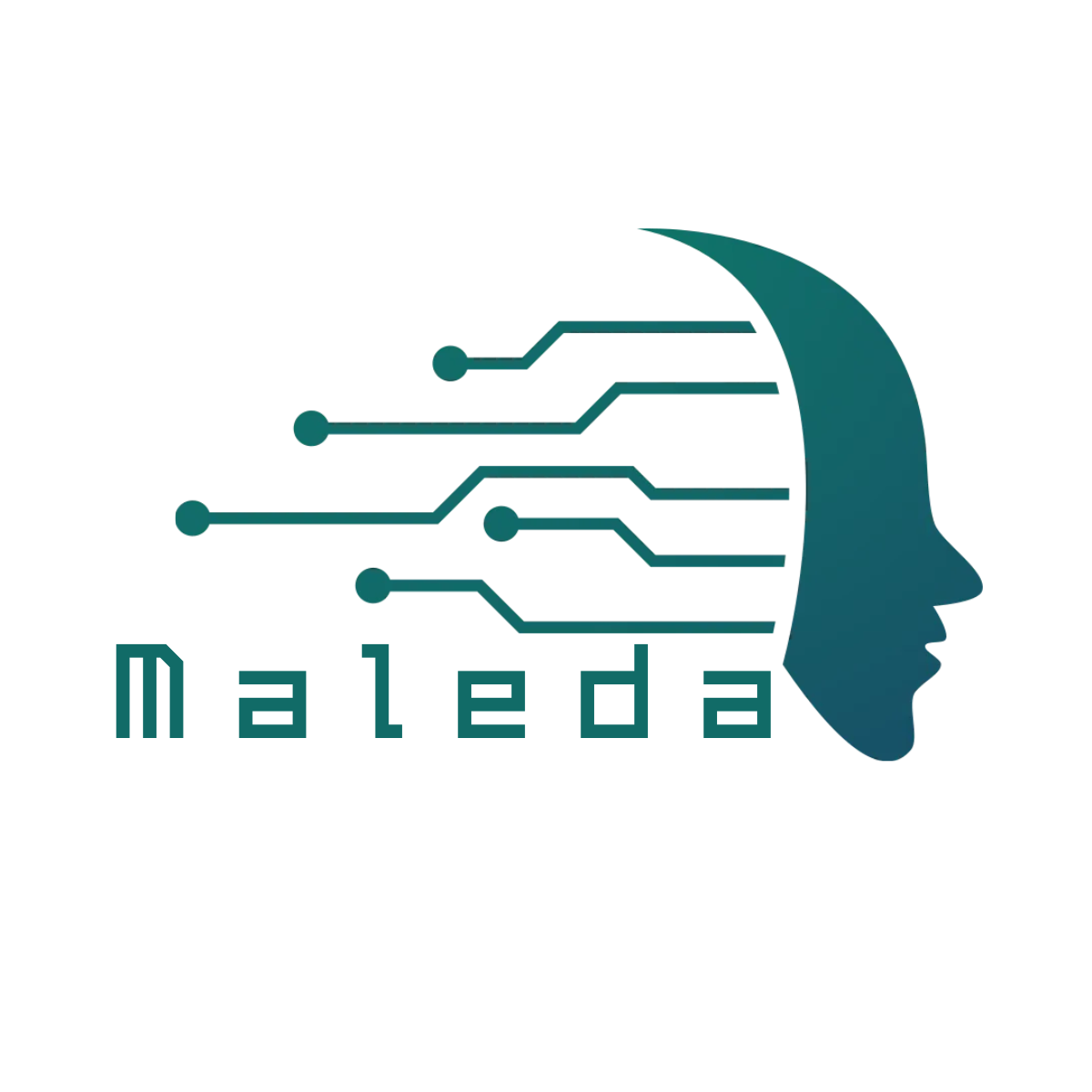 Maleda Tech