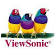 ViewSonic Corporation
