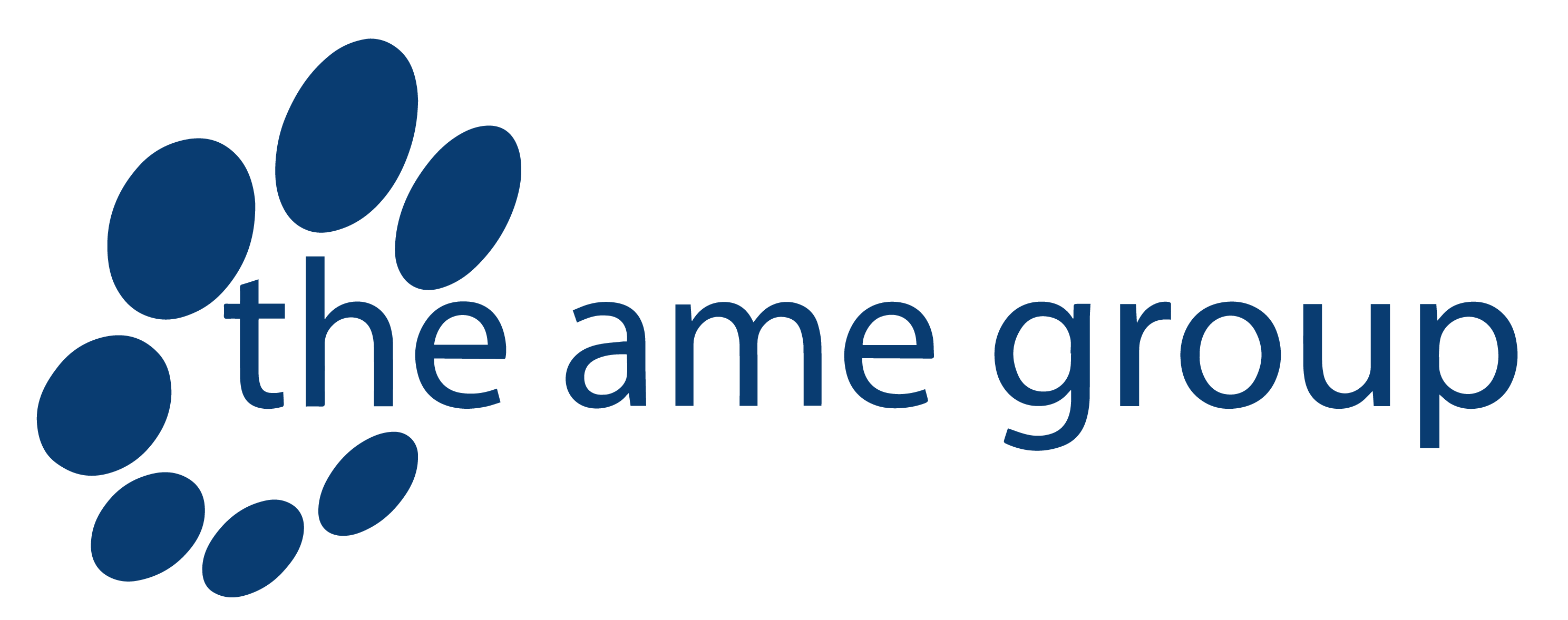 The AME Group