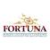 Fortuna Business Management Consulting (Fortuna BMC)