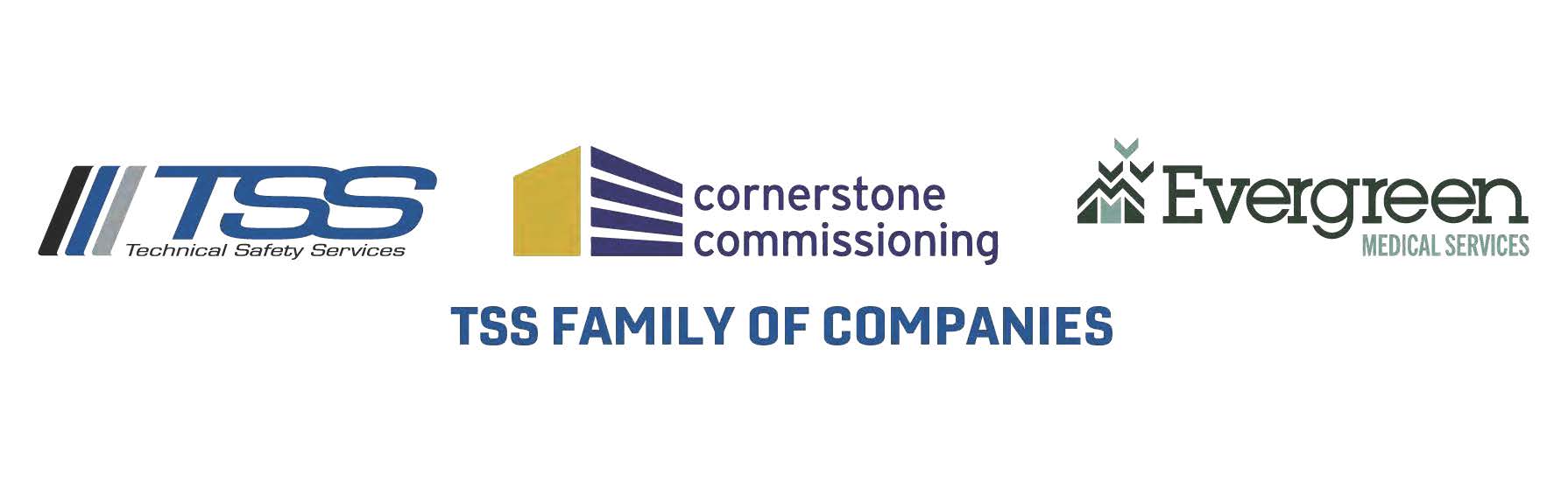 Technical Safety Services