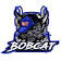 Bobcat Transport