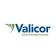 Valicor Environmental Services LLC