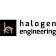Halogen Engineering Group, Inc