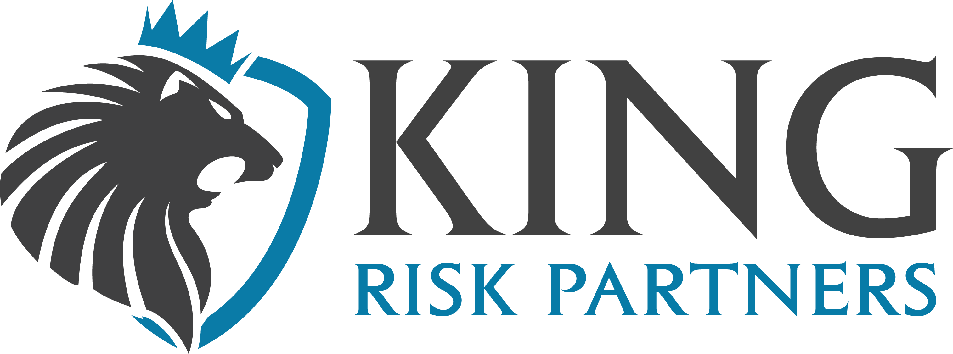 King Risk Partners, LLC