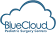 Blue Cloud Pediatric Surgery Centers LLC