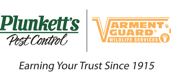 Plunkett's Pest Control