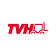 TVH Parts Holding NV