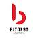 BitNest Solutions