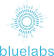 BlueLabs, Inc.