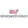 vineyard vines