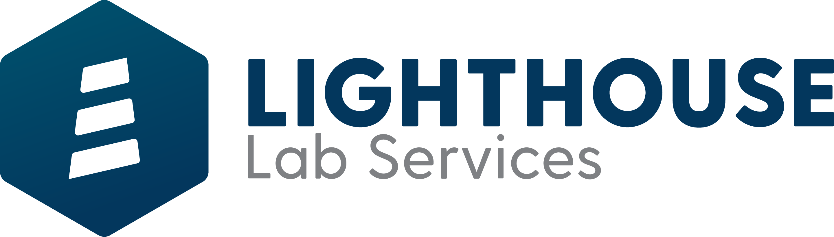 LMSI, LLC dba Lighthouse Lab Services