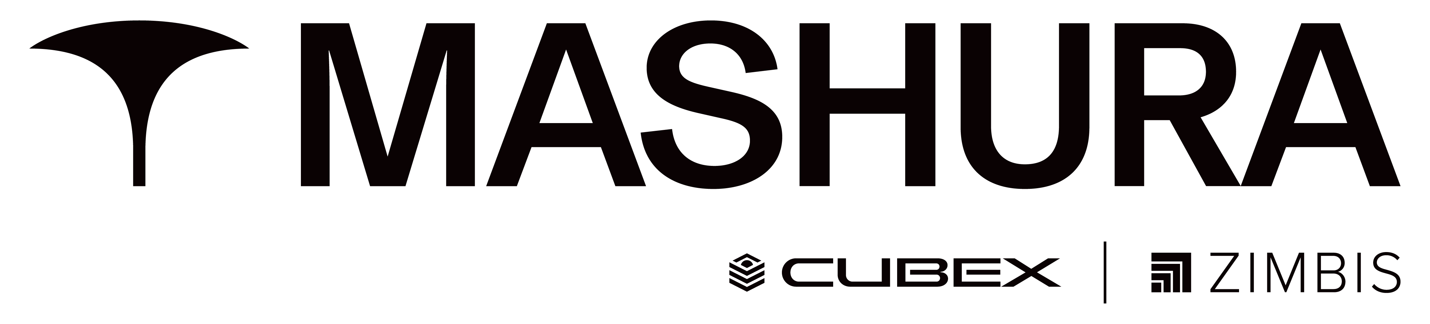 Mashura LLC