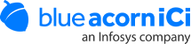 Blue Acorn iCi