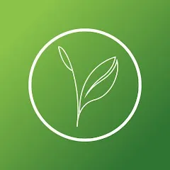Kijani Forestry